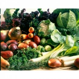 Organic Vegetable Boxes