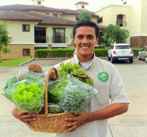 Organic food Box delivery
